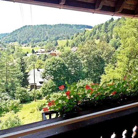 Wald-wohnung In Todtmoos, Cleaning Included *