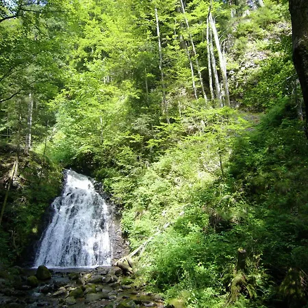 Wald-wohnung In Todtmoos, Cleaning Included Dom wakacyjny *