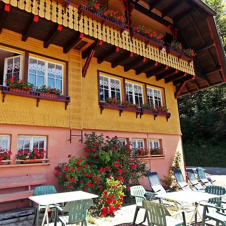In The Black Forest With Terrace, Cleaning Included Todtmoos