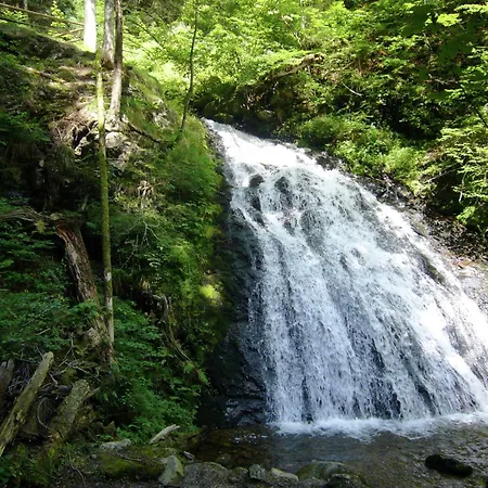 Hébergement de vacances Wald-wohnung In Todtmoos, Cleaning Included *