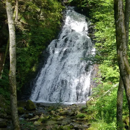 In The Black Forest With Terrace, Cleaning Included Todtmoos