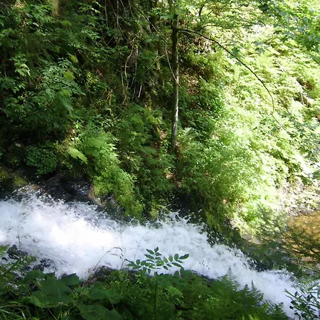 In The Black Forest With Terrace, Cleaning Included Casa vacanze