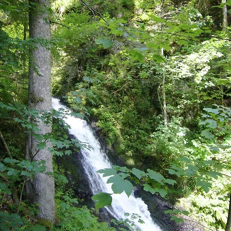 Wald-wohnung In Todtmoos, Cleaning Included *
