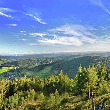 Wald-wohnung In Todtmoos, Cleaning Included