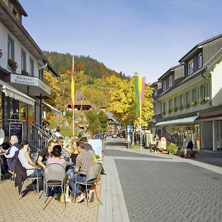 Wald-wohnung In Todtmoos, Cleaning Included Dom wakacyjny *